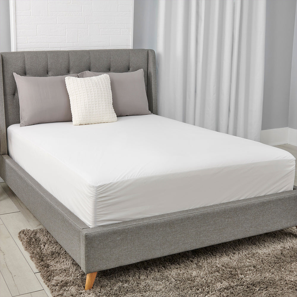 Bed Bugs